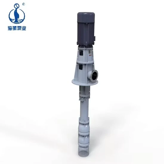 Pompe verticale centrifuge simple Vs5 de boue d'eau de Haishi d'aspiration avec le prix usine